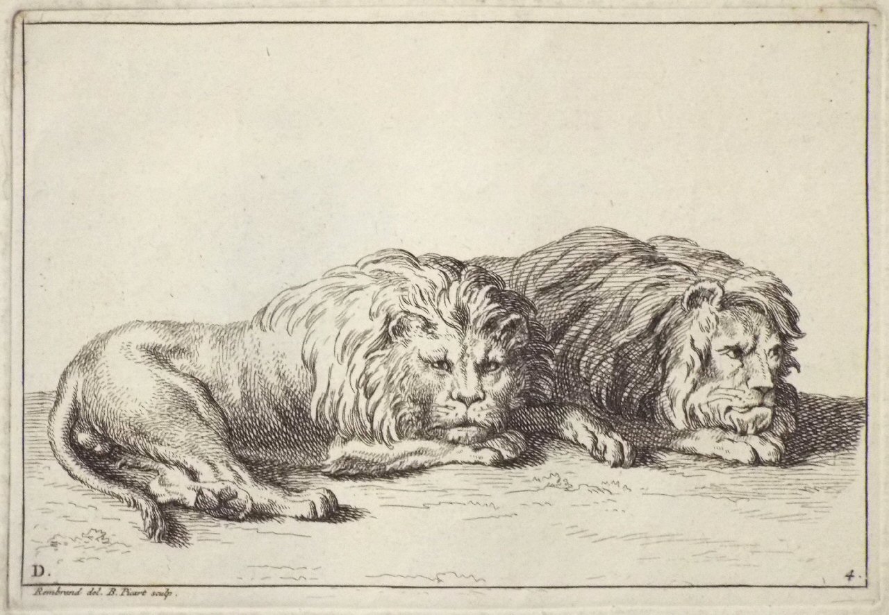 Etching - D. 4. Lion - Picart